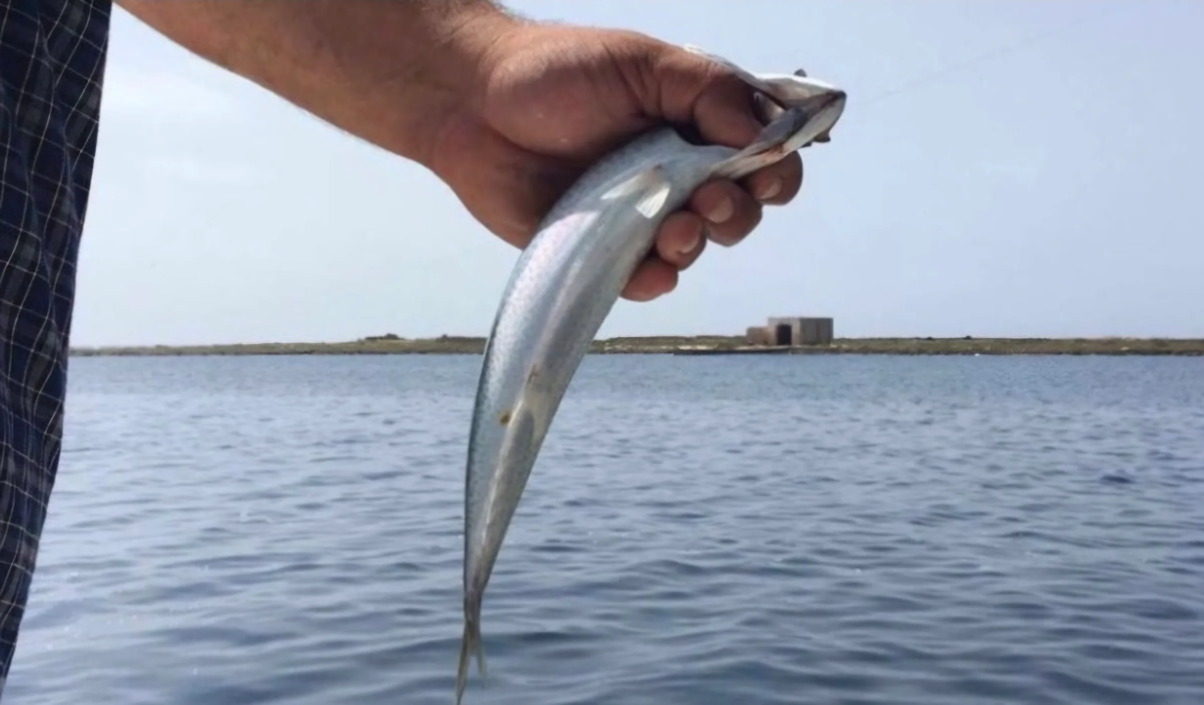 Pescaturismo Leuca – Santa Maria di Leuca